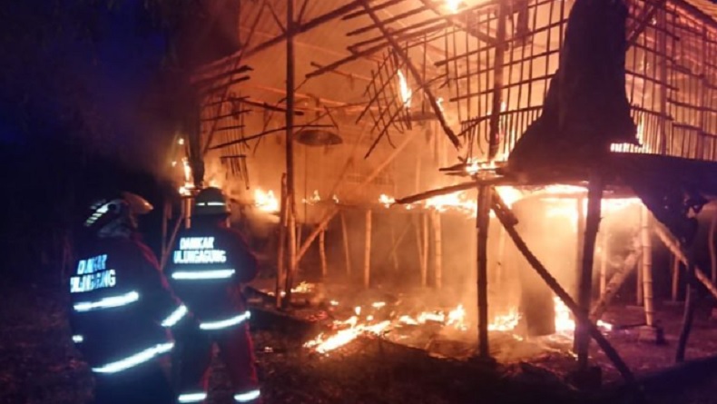 Satu Kompleks Kandang Ayam Terbakar di Tulungagung, 1.100 Ekor Mati Terpanggang