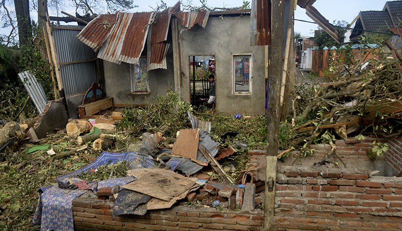 Hujan Deras Disertai Angin Kencang, Pohon Besar Tumbang Menimpa 4 Rumah  - Bagian 1
