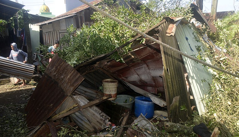 Hujan Deras Disertai Angin Kencang, Pohon Besar Tumbang Menimpa 4 Rumah  - Bagian 2