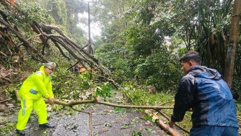 title Pohon Tumbang Tutup Jalan Cikidang-Palabuhanratu, Kendaraan Dialihkan ke Jalan Alternatif Pohon Tumbang Tutup Jalan Cikidang-Palabuhanratu, Kendaraan Dialihkan ke Jalan Alternatif