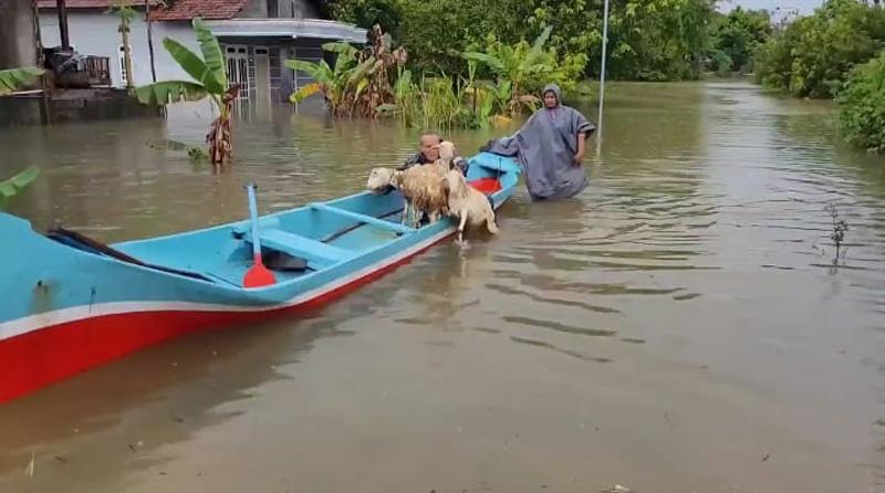 Banjir di Pati Meluas, Ketinggian Air 1 Meter Lebih