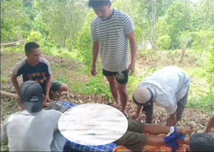 title Begadang Main Game hingga Pagi, Pria Ini Tewas saat Memetik Cengkih  Begadang Main Game hingga Pagi, Pria Ini Tewas saat Memetik Cengkih