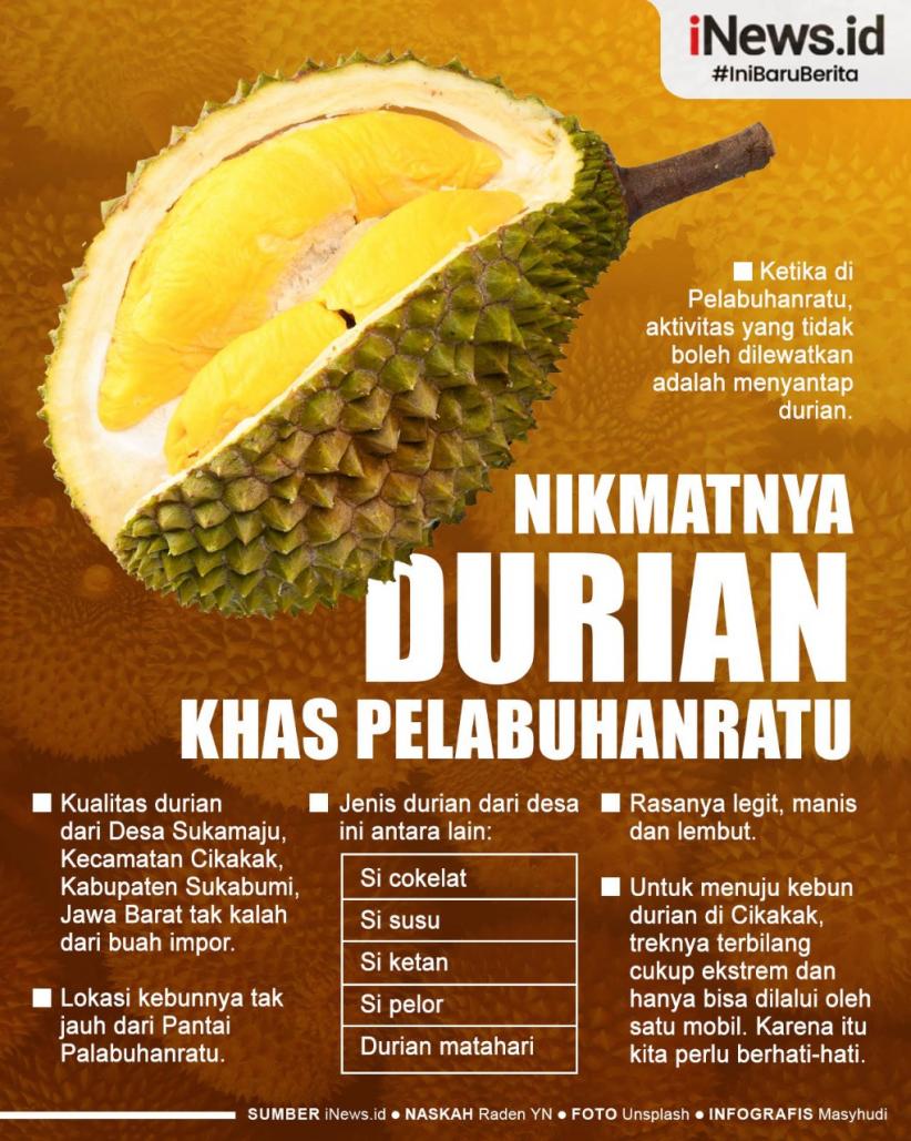 Infografis Durian Khas Pelabuhanratu yang Dikenal Enak dan Legit