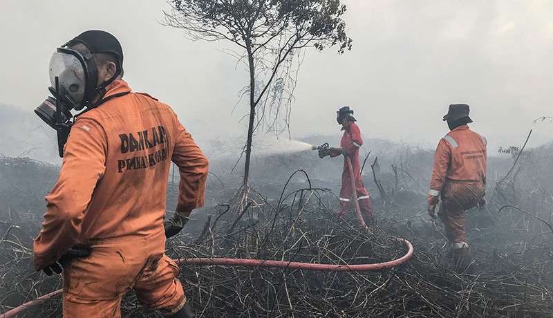 Kebakaran 20 Hektare Lahan Gambut di Pangkalan Bun - Bagian 3