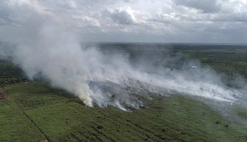 Kebakaran 20 Hektare Lahan Gambut di Pangkalan Bun - Bagian 2