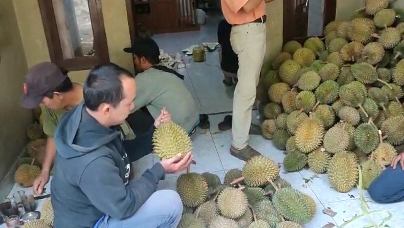Bupati Sukabumi Ajak Warga Makan Durian Gratis di Lapangan Cangehgar Palabuhanratu