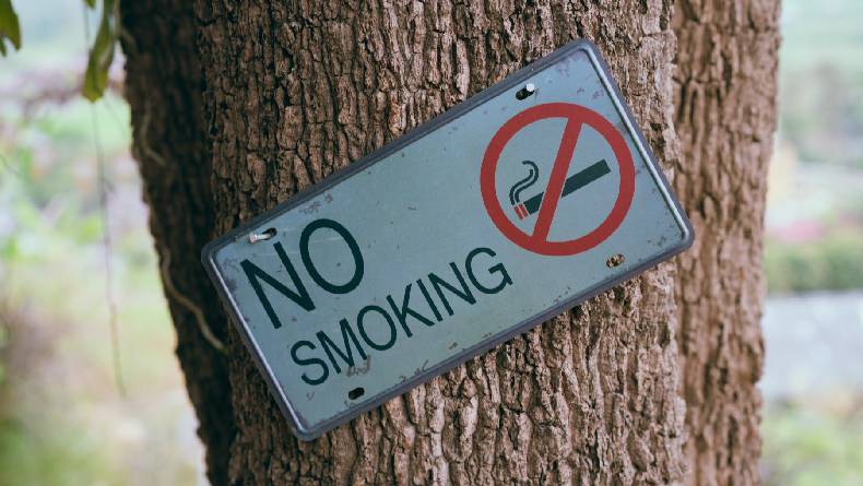 Pengertian Kata Kerja Imperatif Beserta Fungsi, Ciri, dan Contohnya