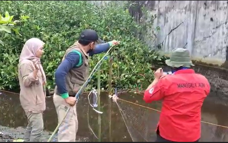 BKSDA Pasang Jerat Buaya di Sungai Mentawa Sampit, Umpannya Daging Ayam