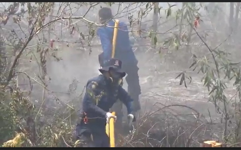 Kebakaran Lahan Mulai Terjadi di Sampit, Diduga Ulah Manusia