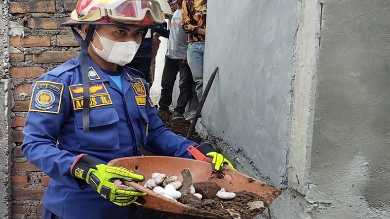 Garut Gempar, Puluhan Butir Telur Ular Ditemukan di Permukiman Padat Penduduk 
