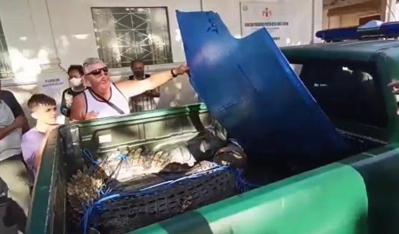 Dari Mana Asal Buaya di Pantai Legian? Ini Kata BKSDA Bali