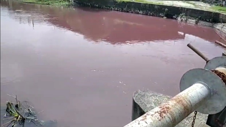 title Warga Pasuruan Geger, Sungai Wrati Berwarna Merah dan Berbau Anyir Darah Warga Pasuruan Geger, Sungai Wrati Berwarna Merah dan Berbau Anyir Darah