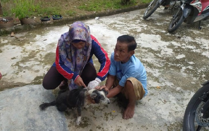 Antisipasi Rabies, 300 Anjing hingga Kera di OKU Disuntik Vaksin
