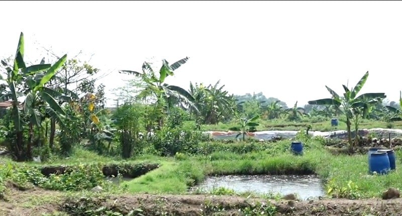 Kampung Unik Di Boyolali, Pengunjung Singgah Jangan Kaget Lihat Rumah ...