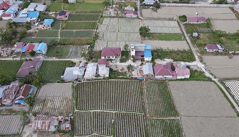 100.000 Hektare Lahan Pertanian Beralih Fungsi jadi Permukiman - Bagian 2