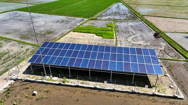 Musim Kemarau, Petani di Magelang Gunakan PLTS untuk Mengairi Sawah