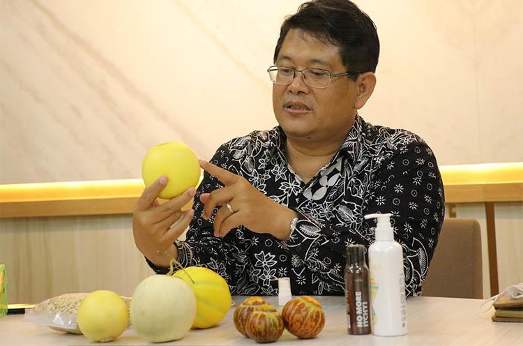 Peneliti UGM Ciptakan Hikapel, Buah Melon Seukuran Apel yang Praktis Dibawa Pergi