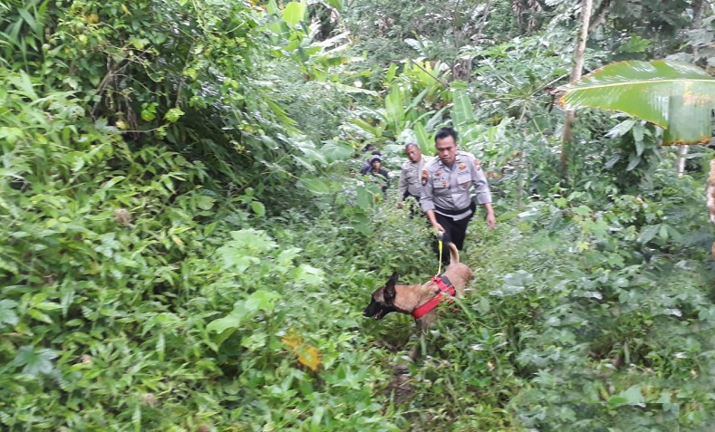 Polisi Kesulitan Buru Pembunuh Ibu Muda di Malang: Hutan Luas Jadi Kendala
