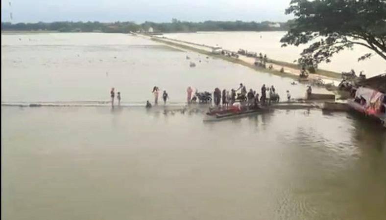  Lahan Sawah di Grobogan Terendam Banjir, Ribuan Hektare Tanaman Padi Terancam Puso