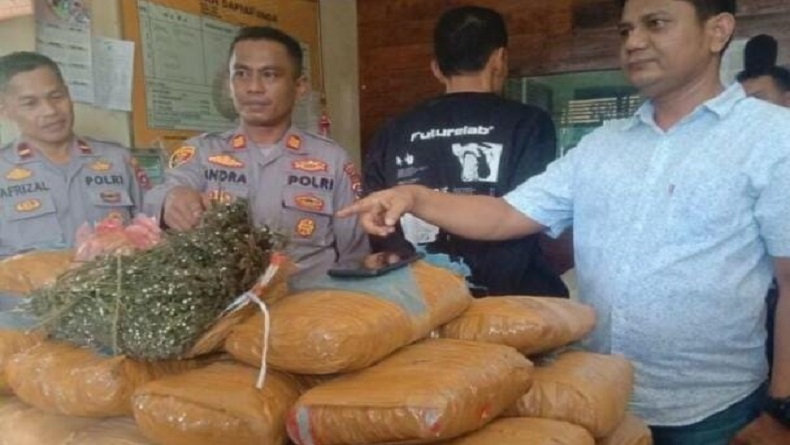 Ganja 36 Kg dalam Gudang SD di Padang Pariaman, Polisi Amankan Penjaga Sekolah