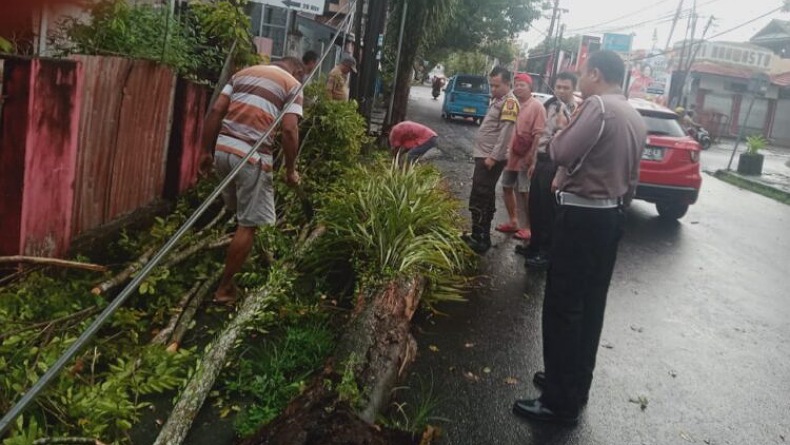 title Pohon Tumbang di Jalan Raya Manado, Polisi Bantu Evakuasi dan Atur Arus Lalu Lintas Pohon Tumbang di Jalan Raya Manado, Polisi Bantu Evakuasi dan Atur Arus Lalu Lintas