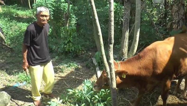 Cerita Slamet, Petani Klaten Mendadak Jadi Miliarder usai Terima Ganti Rugi Tol Rp7 Miliar