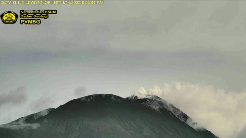 Gunung Ile Lewotolok Erupsi Pagi Ini, Tinggi Kolom Abu 400 Meter
