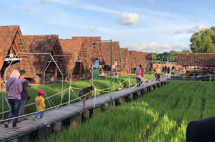 Menikmati Destinasi Lembah Desa Pulutan Gunungkidul, Menyatu dengan Sawah Pas untuk Santai