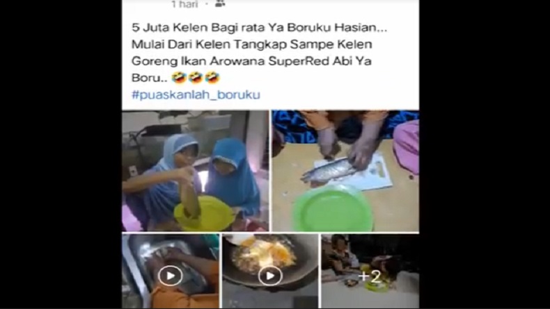 Viral Anak Tangkap lalu Goreng Ikan Arwana Rp5 Juta, Ayah: Gimana Rasanya Nak Enak?