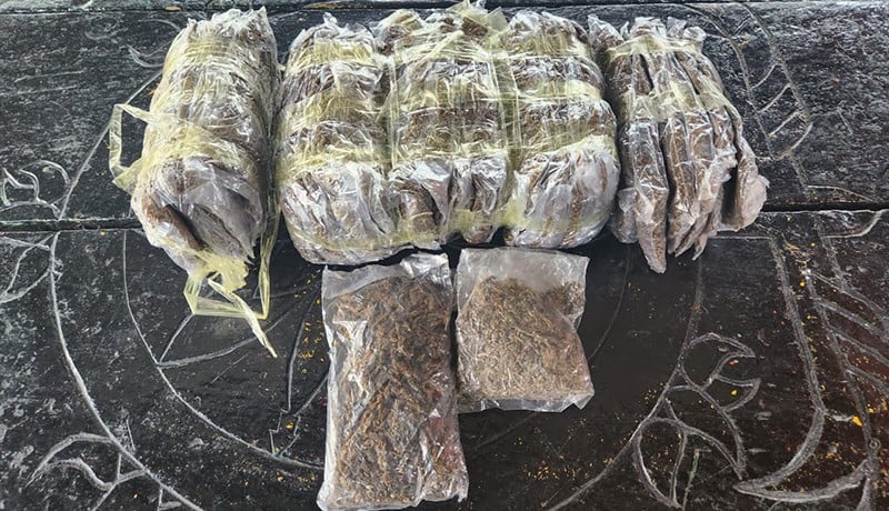 Satgas Pamtas RI-PNG Yonif 132/BS Gagalkan Transaksi 1.838 Gram Ganja di Perbatasan Papua - Bagian 3