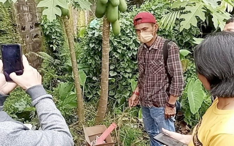 Palembang Heboh, Janin Bayi Membusuk di Bawah Pohon Pepaya Belakang Kosan Mahasiswi