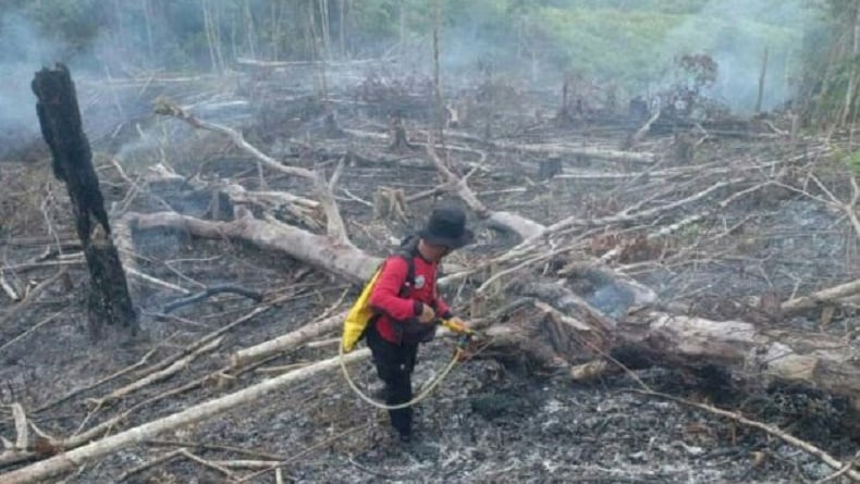 Waspada Karhutla, 75 Titik Panas Terdeteksi di Kaltim