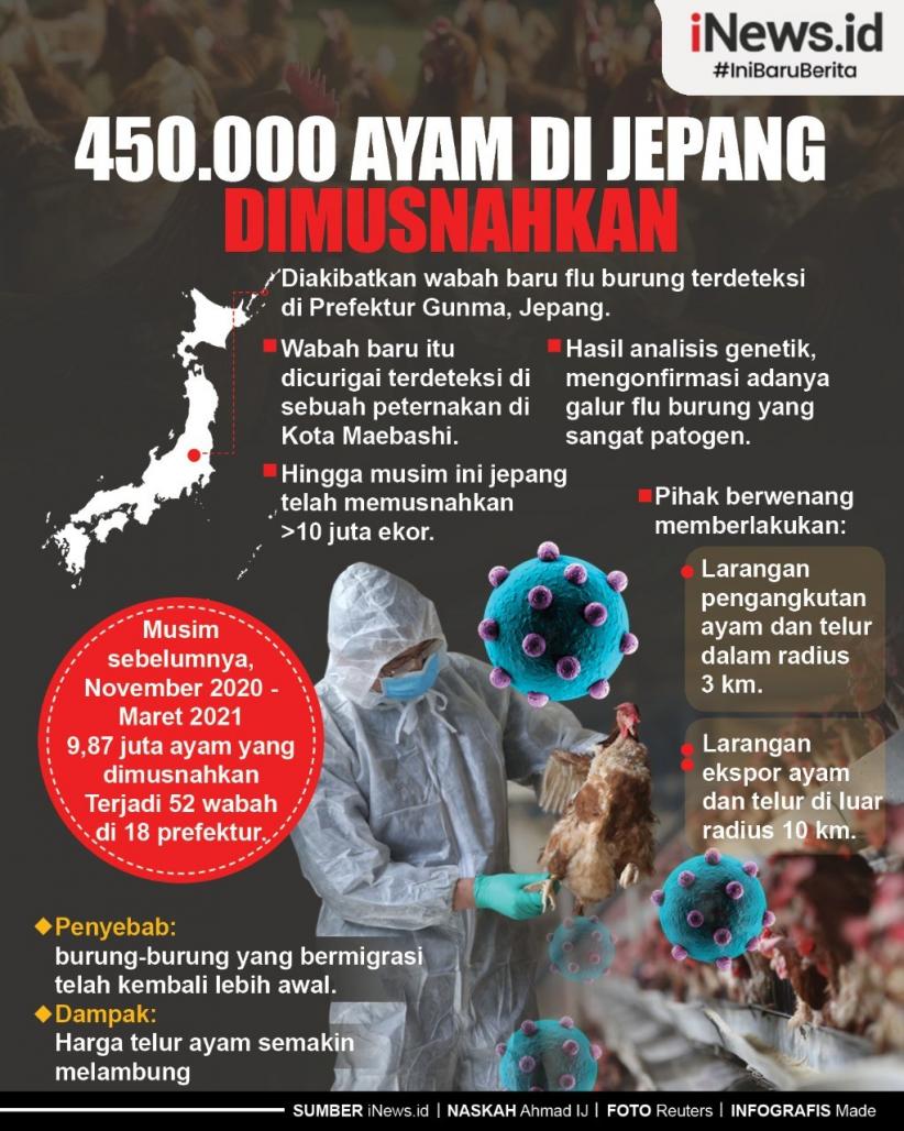 Infografis 450.000 Ayam di Jepang Dimusnahkan