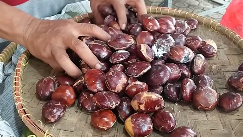 Harga Jengkol di Indramayu Mahal, Lampaui Daging Ayam Broiler