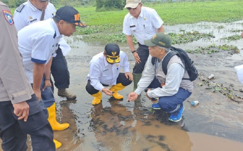 title Tertutup Material Erupsi Gunung Kerinci, 10 Hektare Sawah Warga Tak Bisa Digarap Tertutup Material Erupsi Gunung Kerinci, 10 Hektare Sawah Warga Tak Bisa Digarap