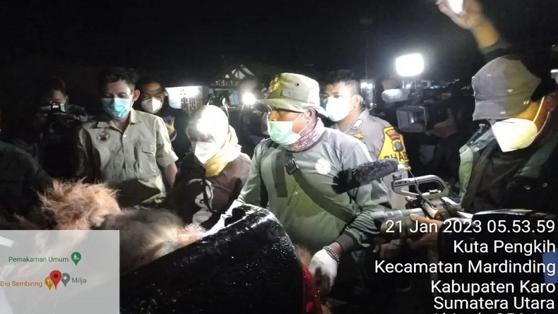 Pilu, Orang Utan Ditangkap Warga di Karo Akhirnya Mati usai Dirawat, Ada Retakan Tulang