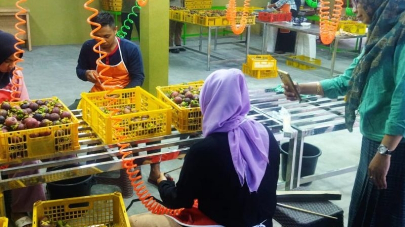 title Bikin Bangga! NTB Kirim Rambutan dan Manggis ke Dubai UEA Bikin Bangga! NTB Kirim Rambutan dan Manggis ke Dubai UEA