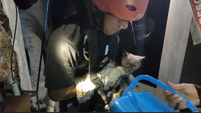  Dramatis, TRC BPBD Boyolali Evakuasi Kucing Tercebur ke Sumur Sedalam 15 Meter
