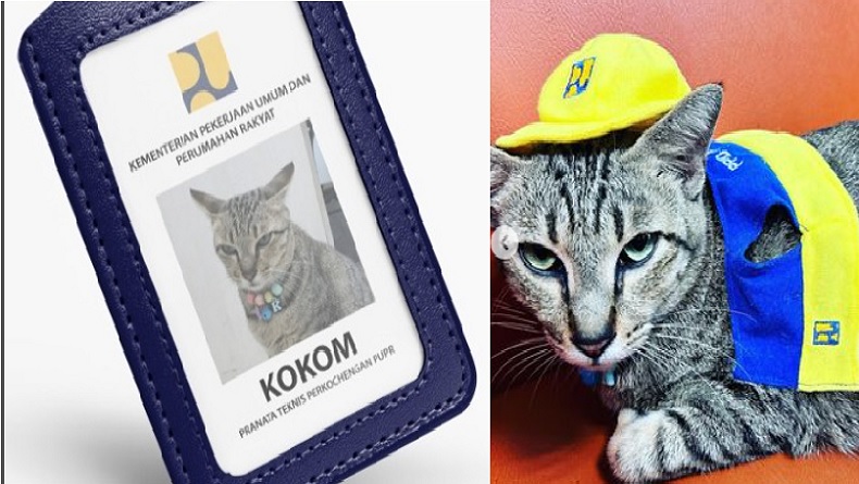 Viral, Kokom Kucing Kementerian PUPR Pintar Naik Lift, Punya 4.000 Followers Instagram