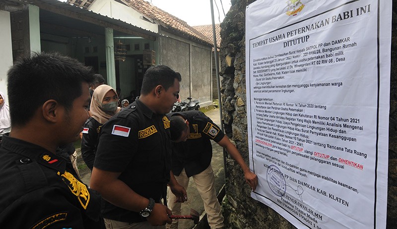 Peternakan Babi Berdiri di Tengah Permukiman Ditutup Satpol PP Klaten - Bagian 2
