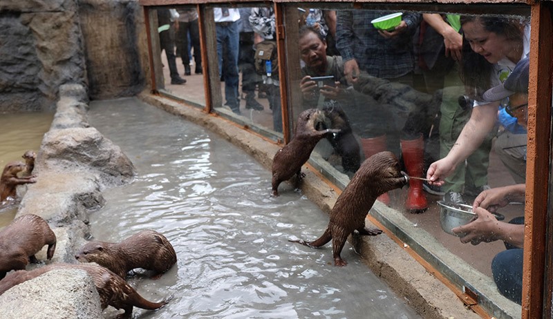 Foto Solo Safari Resmi Dibuka - Bagian 2