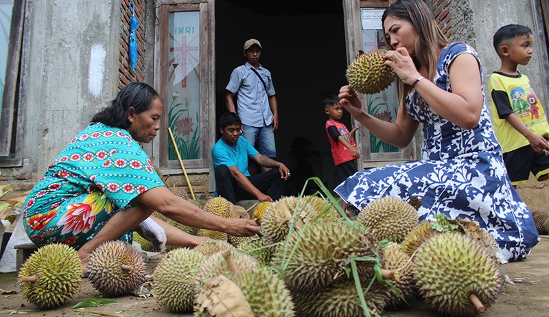 Berburu Durian Mbah Woro Berasal dari Pohon Usia 200 Tahun, Segini Harganya - Bagian 2