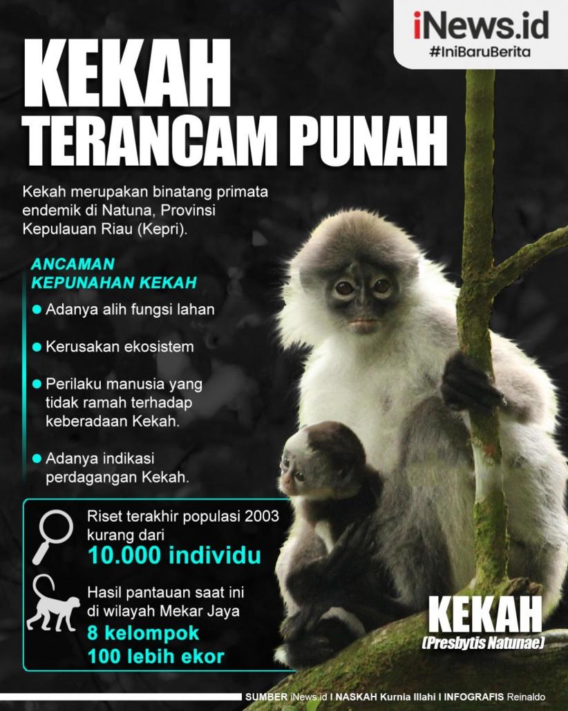 Infografis Kekah Terancam Punah
