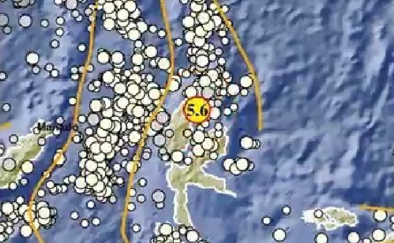 Gempa Terkini M5,6 Guncang Maluku Utara