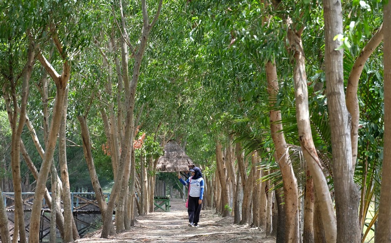 Sambut Turis Piala Dunia U-20, Surabaya Siapkan Wisata Offroad di Tahura Pakal 