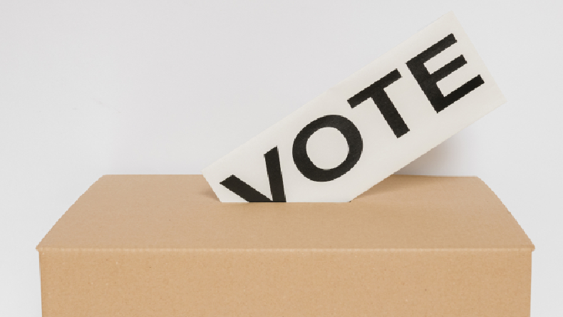 Pengertian Sistem Pemilu Distrik Beserta Contohnya