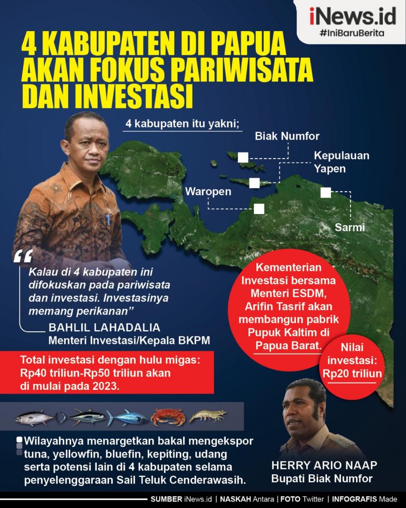  Infografis 4 Kabupaten di Papua Akan Fokus Pariwisata dan Investasi