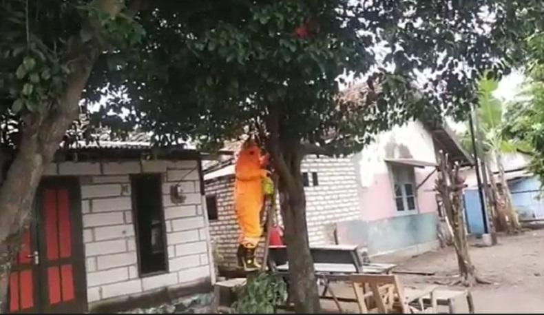 Diserang Tawon Vespa, 3 Petugas PMK Bangkalan Dilarikan ke Rumah Sakit