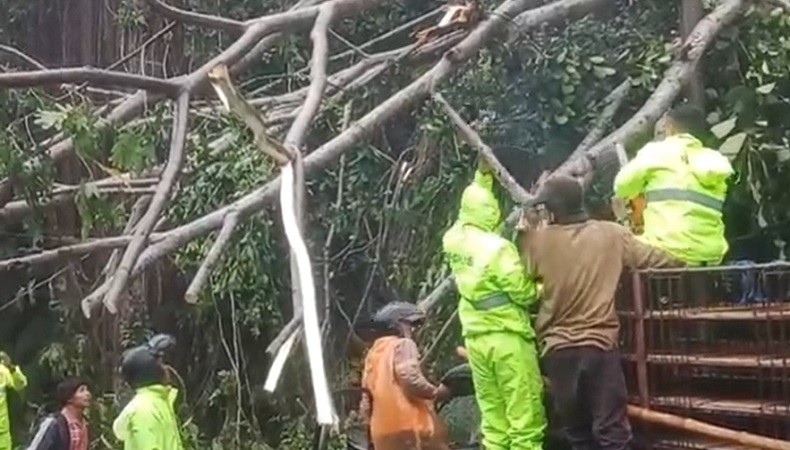 Cuaca Ekstrem Di Bangli Pohon Tumbang Timpa Warung Dan Mobil Hingga Tutup Akses Jalan 8384