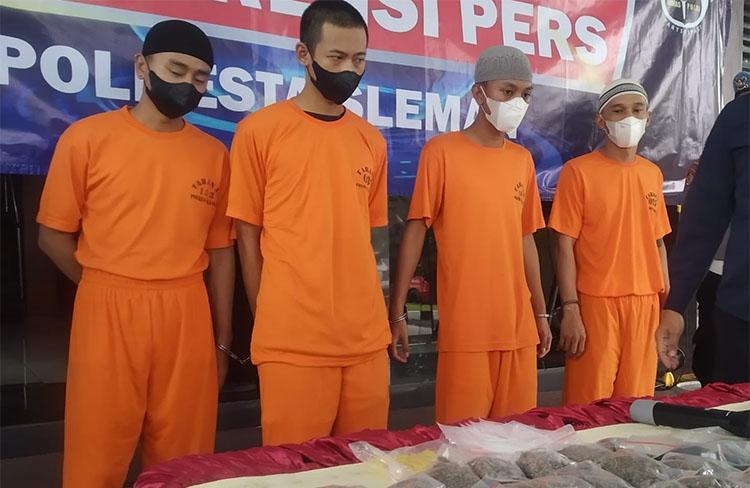 Polres Sleman Bongkar Jaringan Pengedar Ganja Cianjur, 4 Tersangka Ditangkap